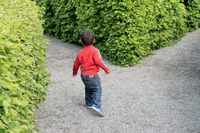 Child Direction Kid Crossroad Choice What Way