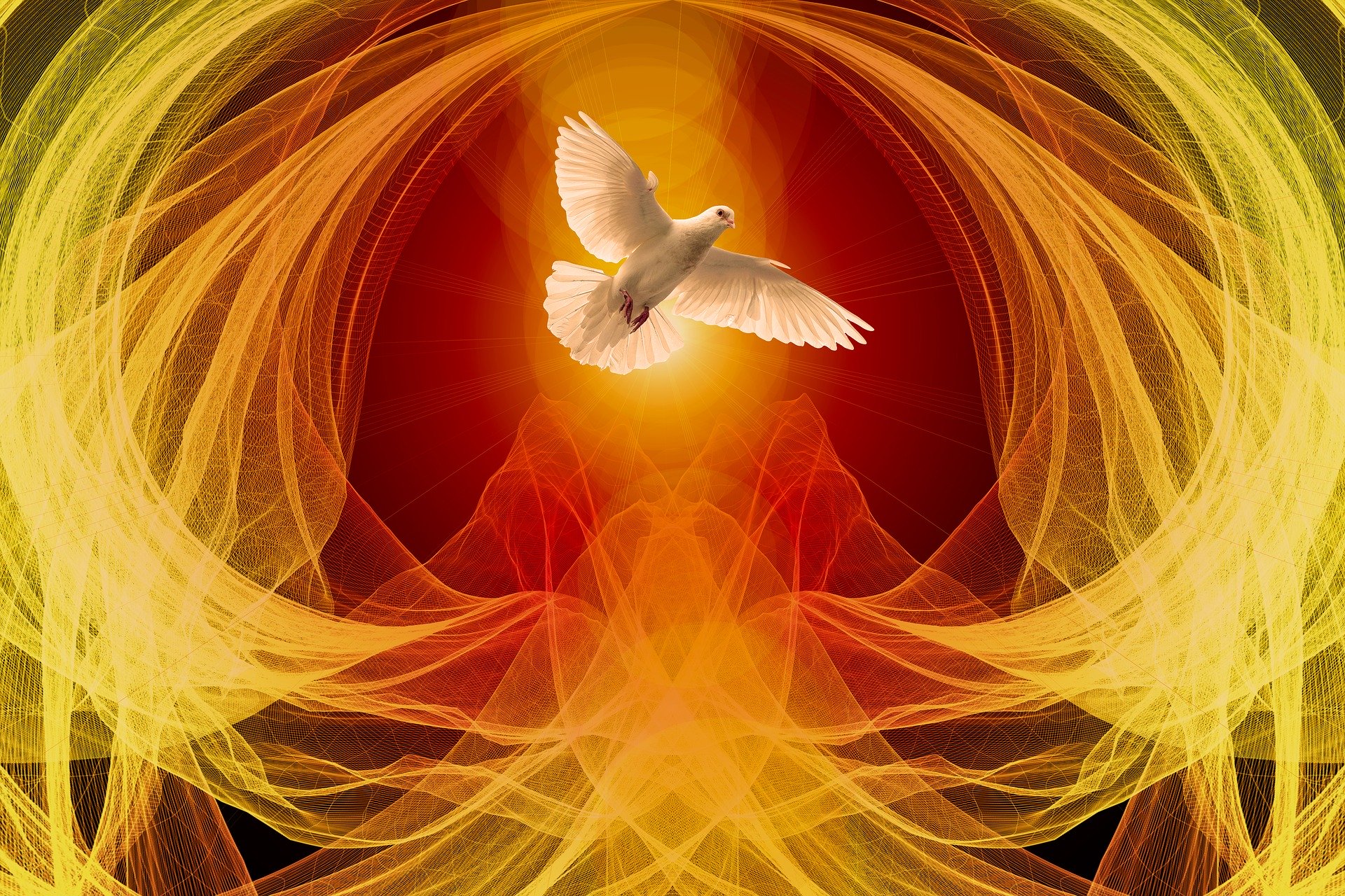 dove-4191376_1920